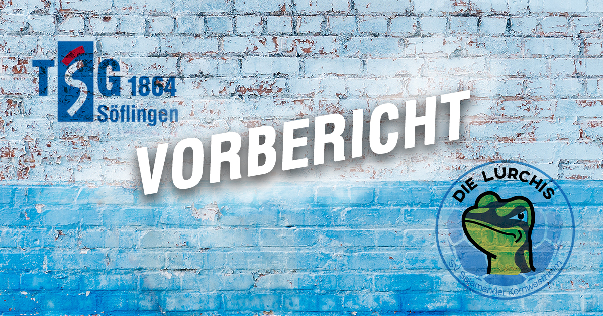 VORBERICHT TSG Söflingen Kopie